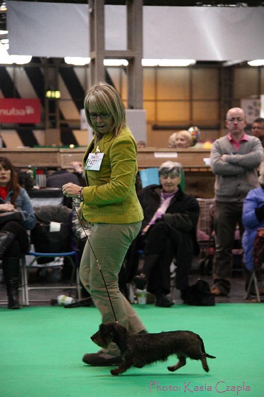 Crufts2011_2 1597.jpg